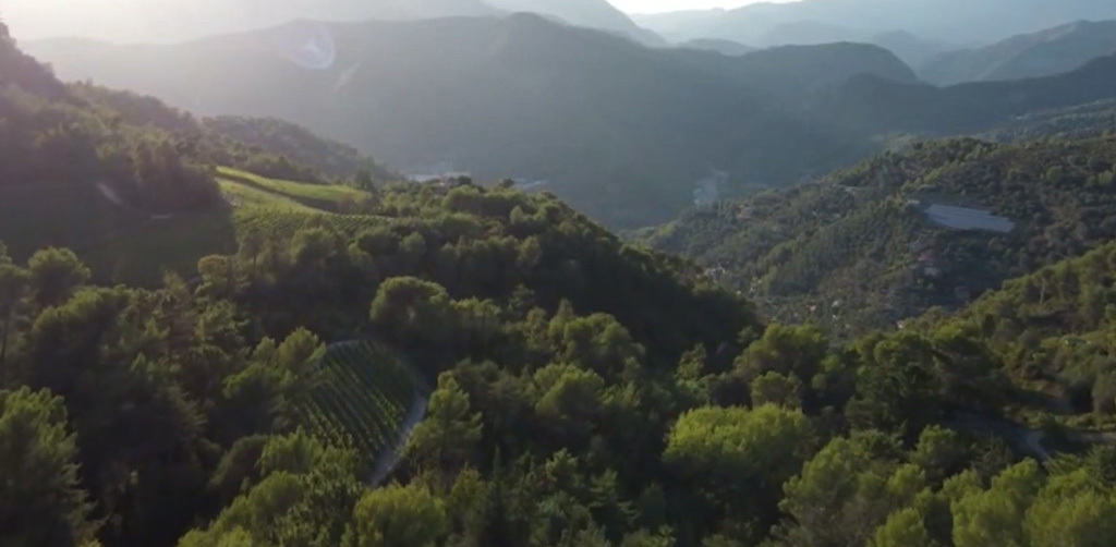 Migliarina